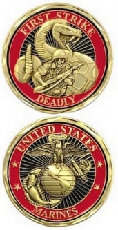 Challenge coins from this army navy store
