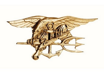 Us Navy Seals Pin / Gold: Army Navy Shop